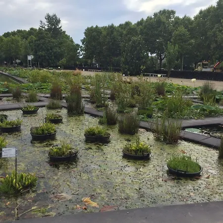 Mercure Centre 酒店 波尔多