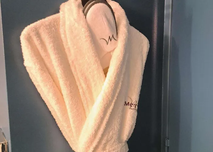 Mercure Centre 4* 波尔多